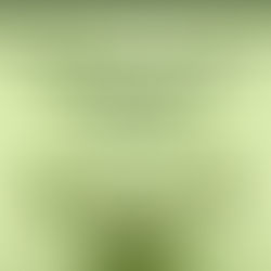 The “Colonel’s” VFV Motivational/Inspirational Quotes & Message of the Day!