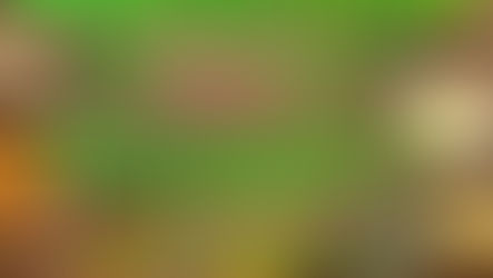 Join Mikel TONIGHT for "Home Remedies!" with Warriors for Life (WFL), Presented by VFV!