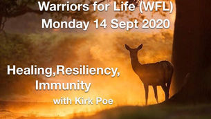 Warriors for Life (WFL) - TONIGHT with Kirk Poe - "Healing, Resiliency, and Immunity"