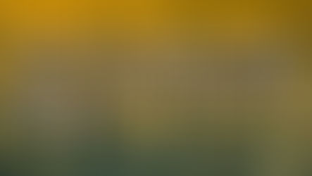 The “Colonel’s” VFV Motivational/Inspirational Quotes & Message of the Day!