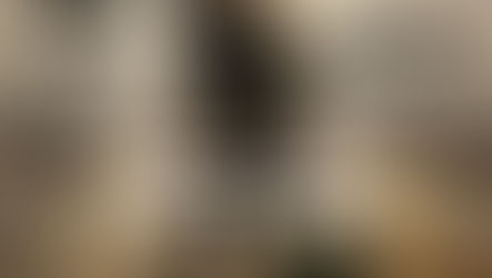 Join Warriors for Life (WFL) TONIGHT - "Mental Health Is the Next Battlefront!"