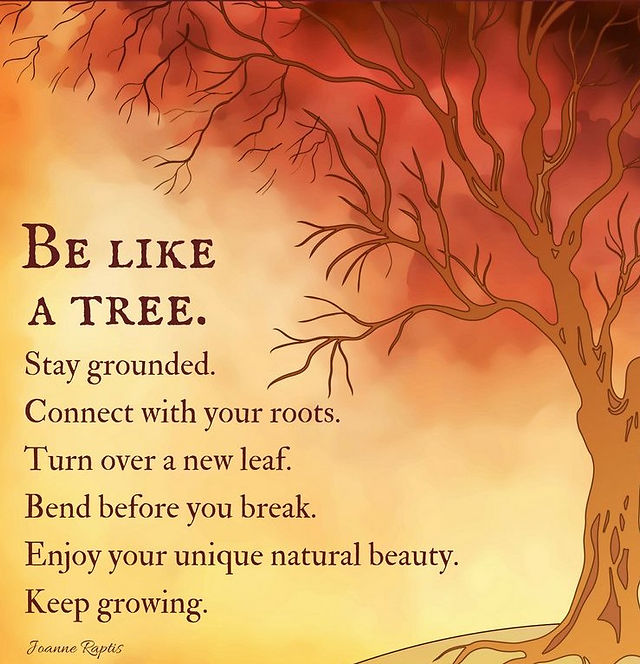 Motivational Roots Quotes 35 Best Roots Quotes Ideas | Quotes, Words