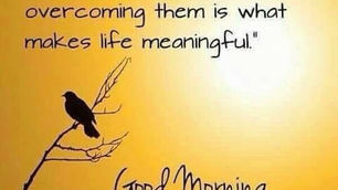 The “Colonel’s” VFV Motivational/Inspirational Quotes & Message of the Day!