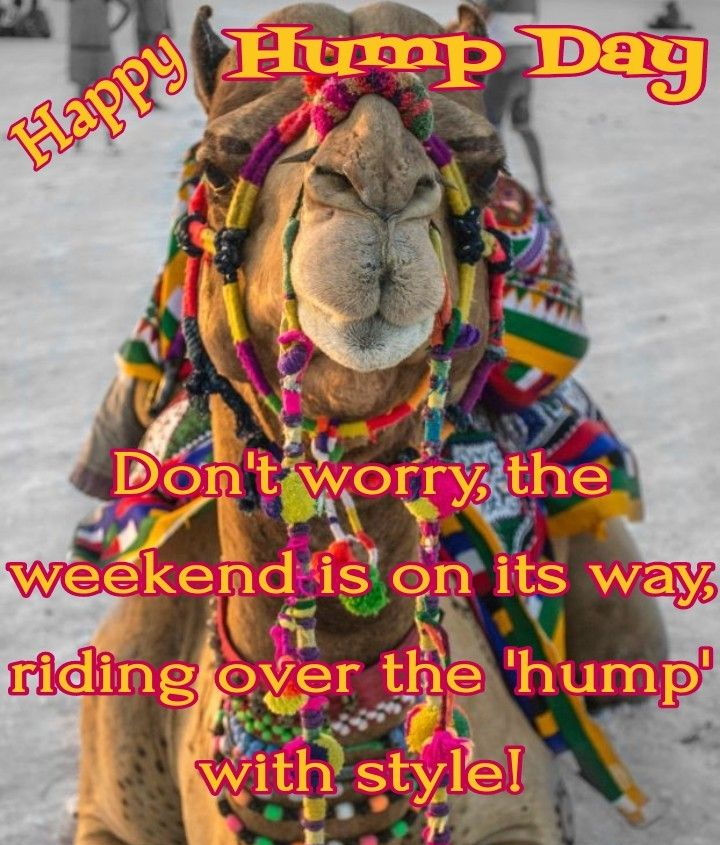 ree