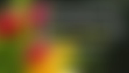 The “Colonel’s” VFV Motivational/Inspirational Quotes & Message of the Day!