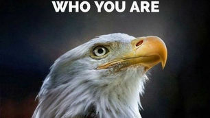 The “Colonel’s” VFV Motivational/Inspirational Quotes & Message of the Day!