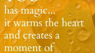The “Colonel’s” VFV Motivational/Inspirational Quotes & Message of the Day!