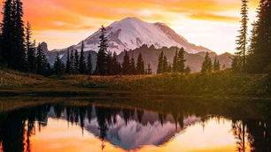 Drop in TONIGHT with Kirk for Warriors for Life (WFL) — "The Body Code — Hope for Veterans"