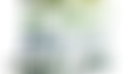 The “Colonel’s” VFV Motivational/Inspirational Quotes & Message of the Day!