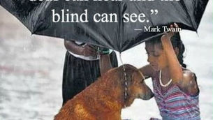 The “Colonel’s” VFV Motivational/Inspirational Quotes & Message of the Day!