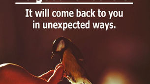 The “Colonel’s” VFV Motivational/Inspirational Quotes & Message of the Day and Week!