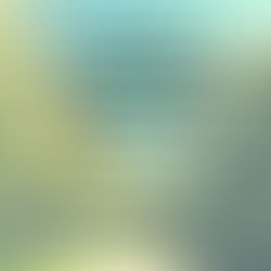 The “Colonel’s” VFV Motivational/Inspirational Quotes & Message of the Day!