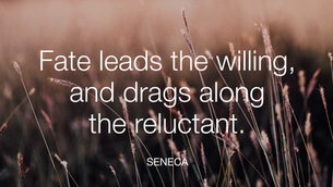 The Colonel’s Motivational/Inspirational Quotes & Message of the Day and Week!