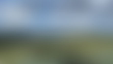 Join Kirk Poe TONIGHT for Warriors for Life (WFL) — "The Body Code—Hope for Veterans"