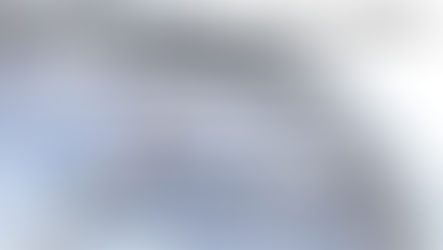 Join Diana Today for "What is Your Passion?" with Warriors for Life (WFL), Presented by VFV!