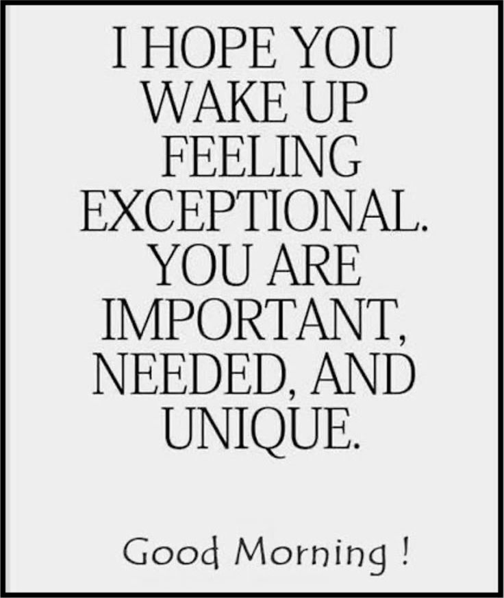 I hope you wake up feeling exceptional.  You are important,  needed, and unique.  Good Morning