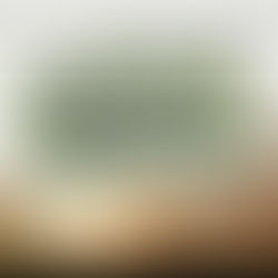 The “Colonel’s” VFV Motivational/Inspirational Quotes & Message of the Day!