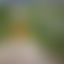 The “Colonel’s” VFV Motivational/Inspirational Quotes & Message of the Day!