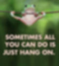 Sometimes all you can do is just hang on.
