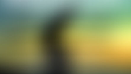 Join Nicci TONIGHT for "Radical Surrender!" with Warriors for Life (WFL), Presented by VFV!