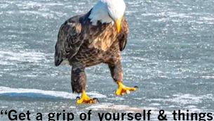 The Colonel’s Motivational/Inspirational Quotes & Message of the Day and Week!