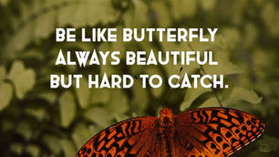 The “Colonel’s” VFV Motivational/Inspirational Quotes & Message of the Day!