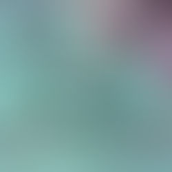 The “Colonel’s” VFV Motivational/Inspirational Quotes & Message of the Day!