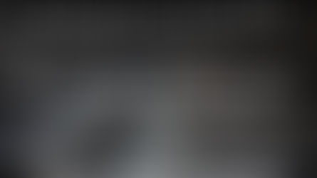 TONIGHT, Join Steven & Friends for "Be Thankful for Your Fleas!" with Warriors for Life (WFL)