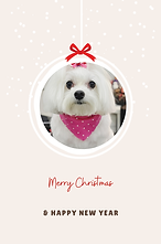 Merry Christmas Card With Photo Frame.png