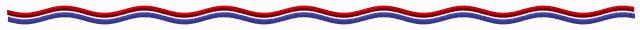 wavy_line.gif