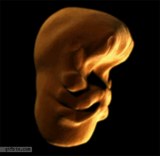 face forming.gif
