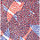 Thumbnail: VOID Exhibition Collectible Poster