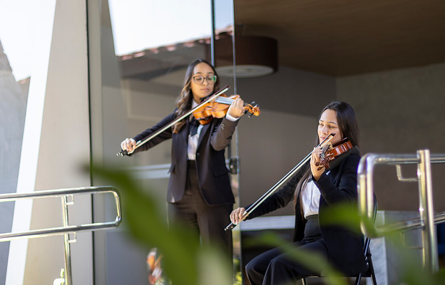 violinista da clave de dó