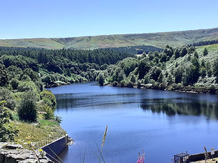 20220710_141029.jpg