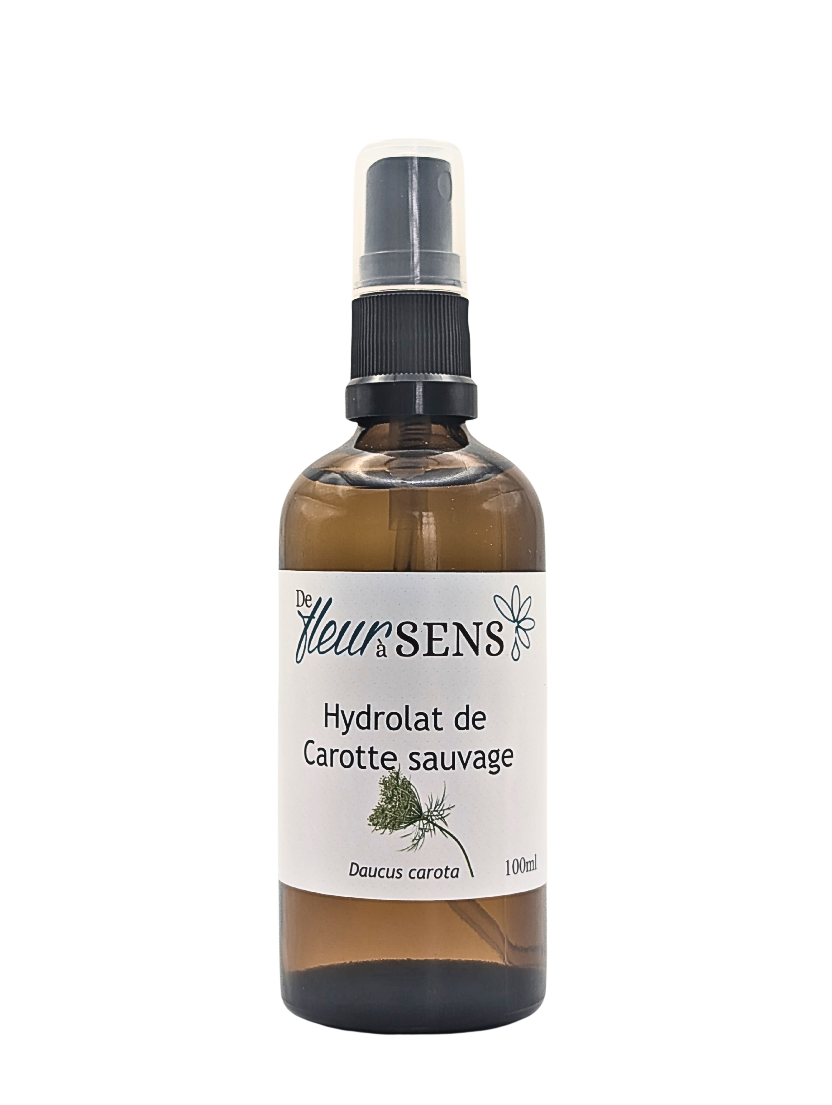 Hydrolat de Carotte sauvage