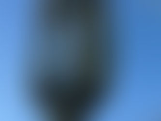 Psychology of Health Pt II: Perfectionism