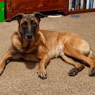 Training Log - 3.1.26