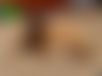 Training Log - 3.1.26