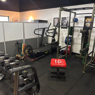 Longevity IV: Exercise