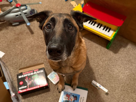 Training Log 12.28.25