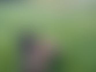 Training Log 4.26.26