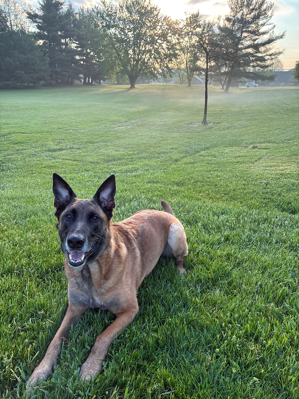 Training Log 4.26.26