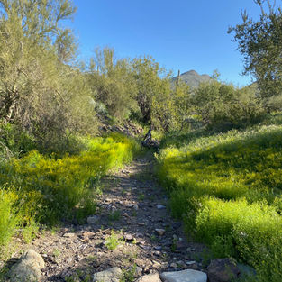 Stress Management: The Pain Dial