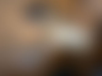 Dog Days Pt I: Year in Review