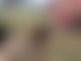 Parenthood II: Leader in Title Only