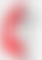 A United Methodist Archbishop?