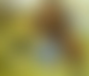 The Jovial Sabbath: C.S. Lewis on Rest and Joy