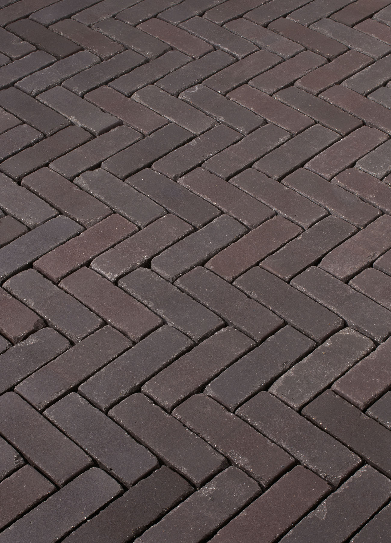 Terra Bolzano antica