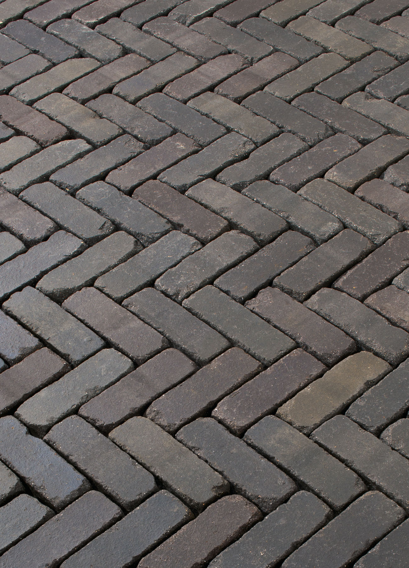 Terra Modena antica