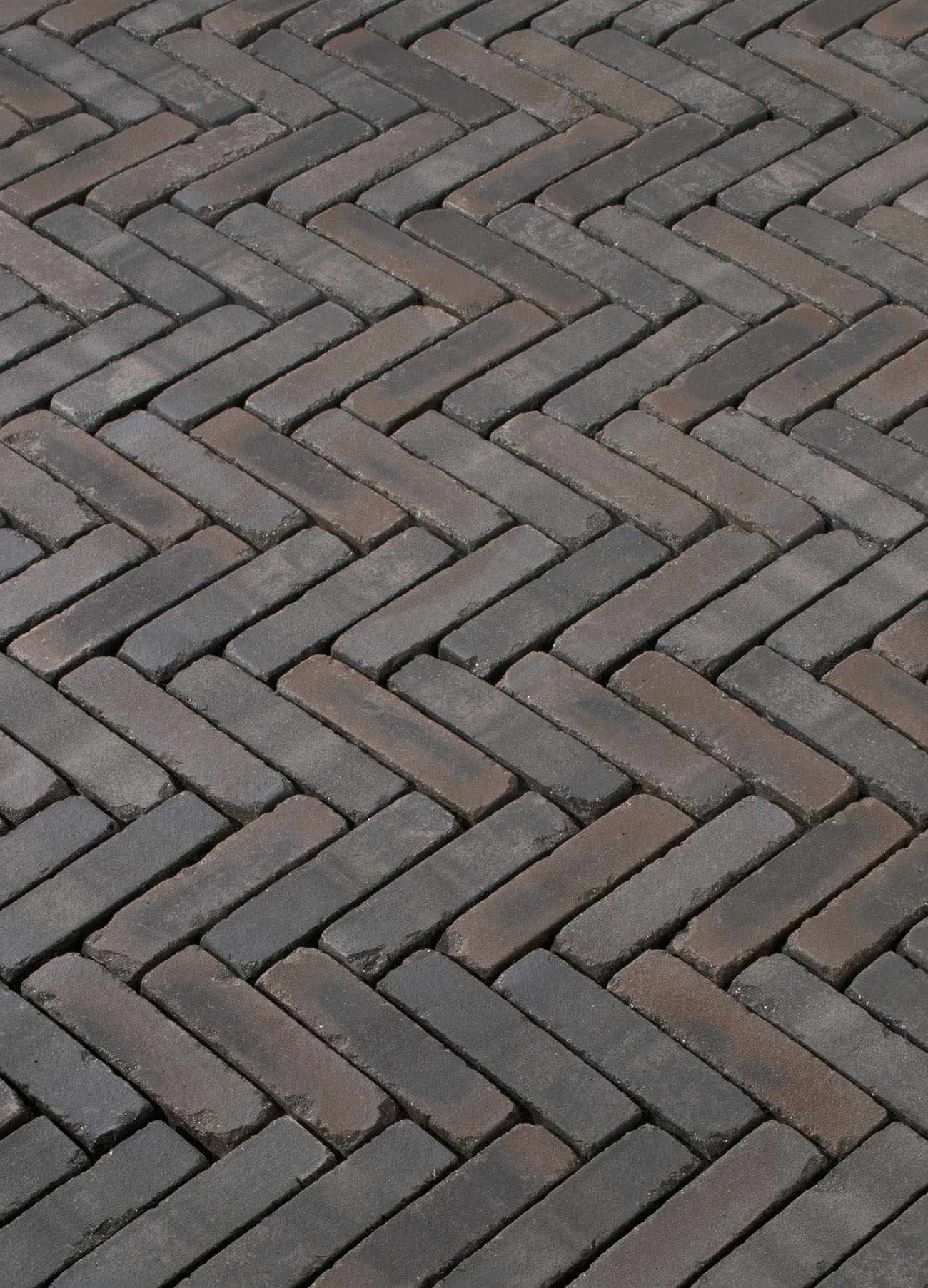 Terra Ancona antica